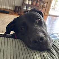 Thumbnail photo of Storm #3