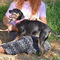 Thumbnail photo of Lela #3