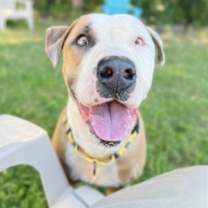 Thumbnail photo of WALL-E #3