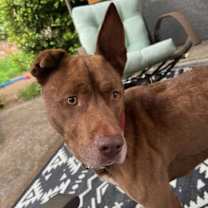 Thumbnail photo of Cruz #2