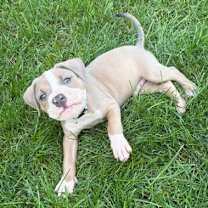 Thumbnail photo of Otis #2