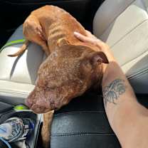 Thumbnail photo of Atlas #1