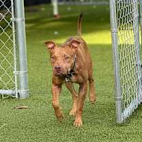 Thumbnail photo of Atlas #2