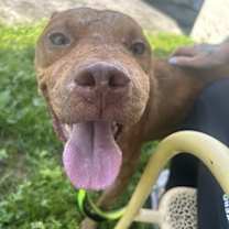 Thumbnail photo of Atlas #3