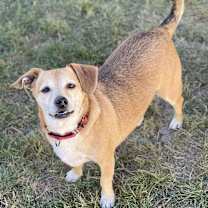 Thumbnail photo of Fife #1