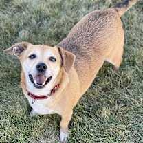 Thumbnail photo of Fife #2