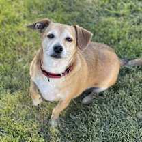 Thumbnail photo of Fife #3