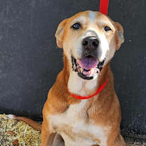 Thumbnail photo of Mazie KB #1