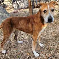 Thumbnail photo of Mazie KB #2