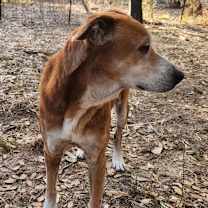 Thumbnail photo of Mazie KB #3