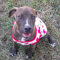 Thumbnail photo of GiGi #1