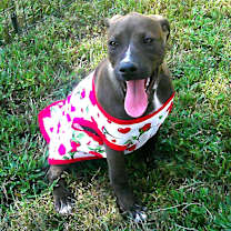 Thumbnail photo of GiGi #4