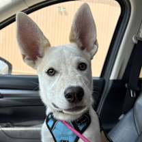 Thumbnail photo of Yeti #1