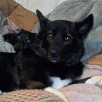 Thumbnail photo of Sushi #3