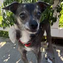 Thumbnail photo of Blanche #1