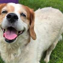 Thumbnail photo of Mater #4