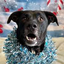 Thumbnail photo of Benson #1