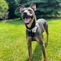 Thumbnail photo of Ryker #1