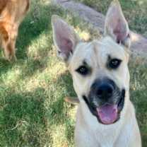 Thumbnail photo of Luna #1