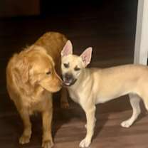 Thumbnail photo of Luna #3