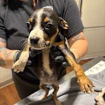 Thumbnail photo of Hope #2