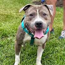 Thumbnail photo of Bones #1