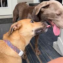 Thumbnail photo of Seymour #4