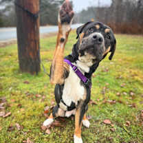 Thumbnail photo of Malcolm #1