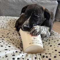 Thumbnail photo of Pink Too Much #4