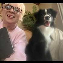 Thumbnail photo of Oreo ~ 18 lbs of love ~ #2