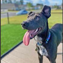 Thumbnail photo of Myst #3