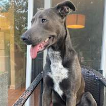 Thumbnail photo of Myst #4