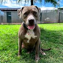 Thumbnail photo of Zeus #1