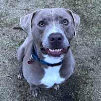 Thumbnail photo of Zeus #2