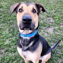 Thumbnail photo of Bobo #2