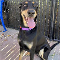 Thumbnail photo of Rimini #1