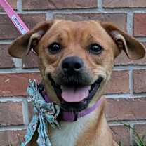 Thumbnail photo of River Oake #1