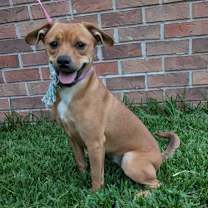 Thumbnail photo of River Oake #2