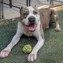 Thumbnail photo of Osbourne #3