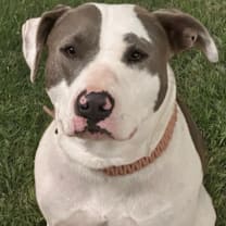 Thumbnail photo of Daisy #1