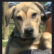 Thumbnail photo of Art #3