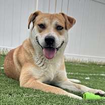 Thumbnail photo of Coco #1