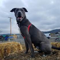 Thumbnail photo of Tucker #1