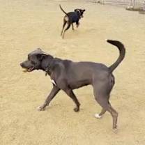 Thumbnail photo of Tucker #4