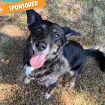 Thumbnail photo of Echo #1