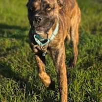 Thumbnail photo of Weller #2