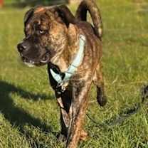 Thumbnail photo of Weller #3