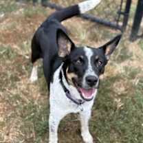 Thumbnail photo of Kika #1