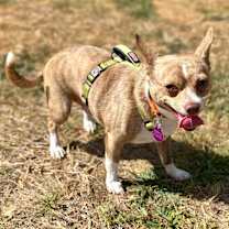 Thumbnail photo of Tony #1