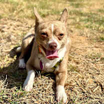 Thumbnail photo of Tony #2